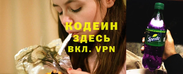 стаф Балахна