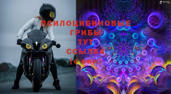 стаф Балахна