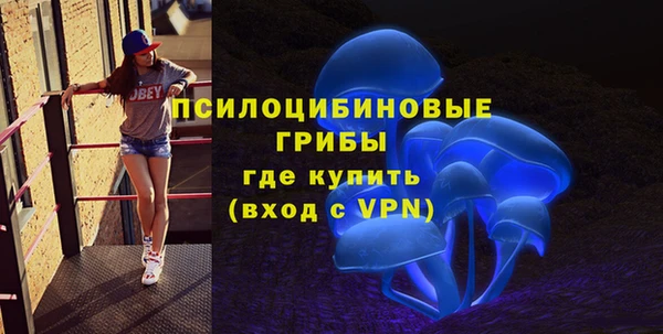 стаф Балахна
